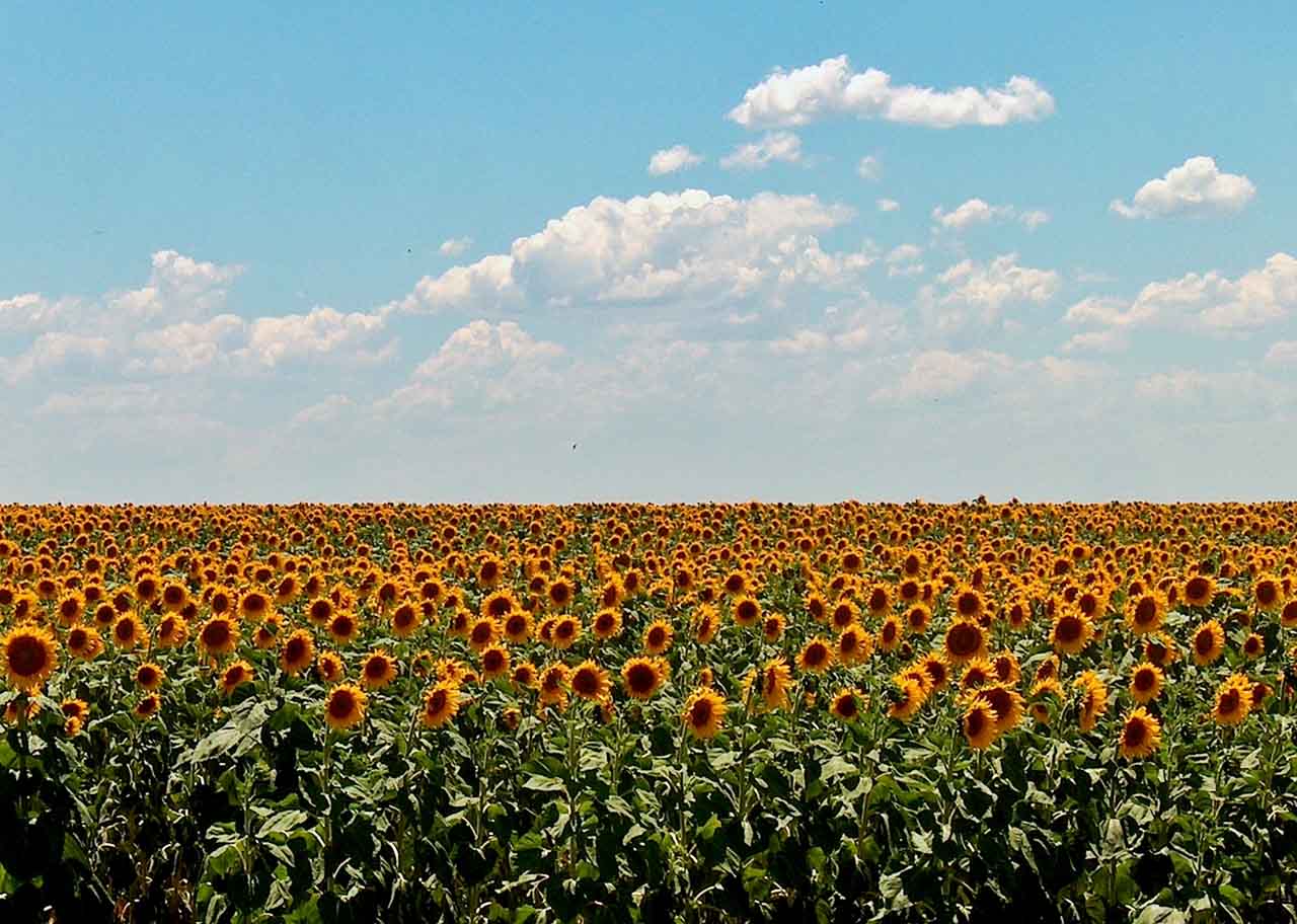 S3 Files and the changing face of S3